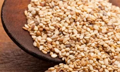 Sesame Seeds