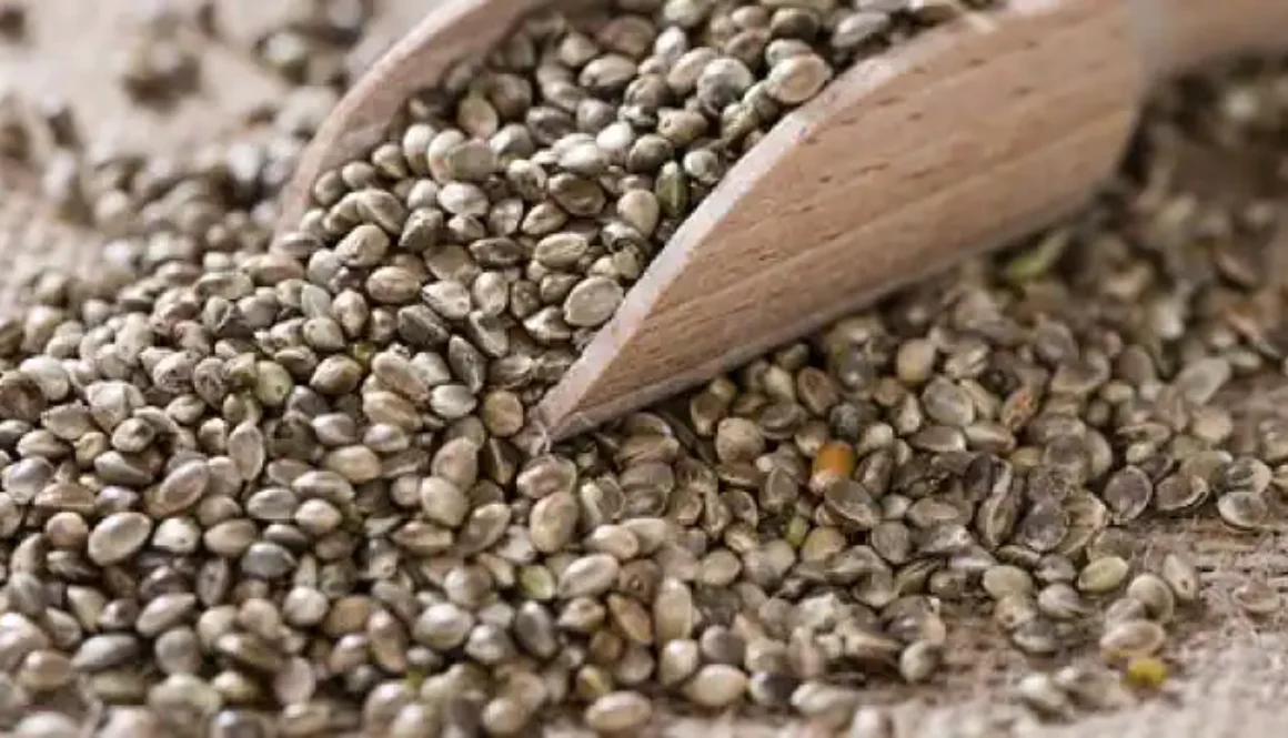 hemp_seeds