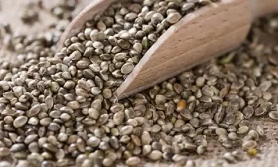 Hemp Seeds