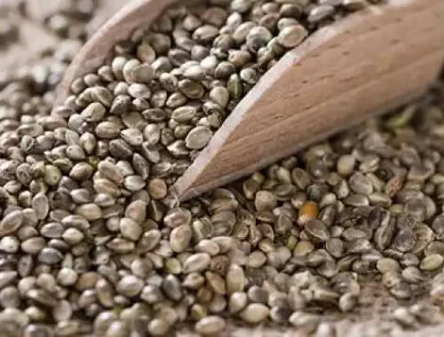 hemp_seeds