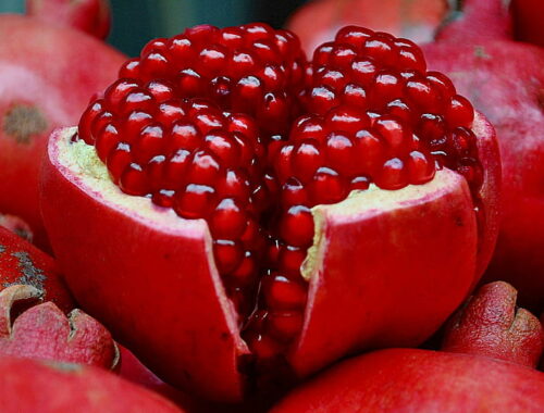 pomegranate-wallpaper-preview