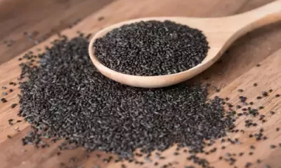 Sabja/Basil Seeds